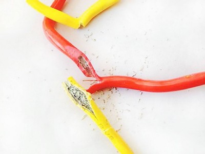 “假” 電線偽裝得好逼真！如何識(shí)別？